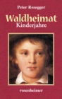 Waldheimat - Kinderjahre - eBook