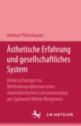 Asthetische Erfahrung und gesellschaftliches System - eBook