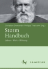 Storm-Handbuch : Leben - Werk - Wirkung - eBook