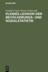 Kleines Lexikon der Bevolkerungs- und Sozialstatistik - eBook