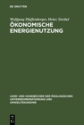 Okonomische Energienutzung - eBook