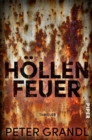 Hollenfeuer : Thriller - eBook