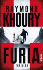 Furia : Thriller - eBook