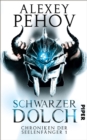 Schwarzer Dolch : Chroniken der Seelenfanger 1 - eBook