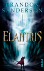 Elantris : Roman - eBook