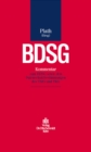 BDSG : Kommentar zum BDSG sowie den Datenschutzbestimmungen des TMG und TKG - eBook