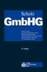 35 - 52 : Anh.  45 Gesellschafterversammlung und Gesellschafterkompetenzen in der GmbH & Co. KG - eBook