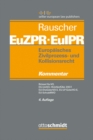 Europaisches Zivilprozess- und Kollisionsrecht EuZPR/EuIPR, Band IV : Brussel IIa-VO, EG-UntVO, HUntVerfUbk 2007, EU-EheGuterVO-E, EU-LP-GuterVO-E, EU-SchutzMVO - eBook