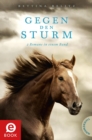 Gegen den Sturm : 2 Romane in einem Band - eBook