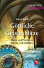 Gottliche Geistesblitze : Pfarrer Und Priester Als Erfinder Und Entdecker - Book