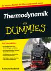 Thermodynamik Fur Dummies - Book