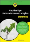 Nachhaltige Unternehmensstrategien f r Dummies - eBook