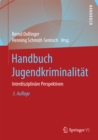 Handbuch Jugendkriminalitat : Interdisziplinare Perspektiven - eBook