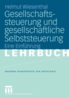 Gesellschaftssteuerung und gesellschaftliche Selbststeuerung : Eine Einfuhrung - eBook