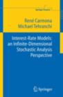 Interest Rate Models: an Infinite Dimensional Stochastic Analysis Perspective - eBook