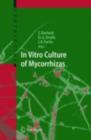 In Vitro Culture of Mycorrhizas - eBook
