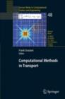 Computational Methods in Transport : Granlibakken 2004 - eBook