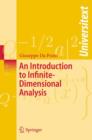 An Introduction to Infinite-Dimensional Analysis - eBook