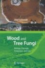 Wood and Tree Fungi : Biology, Damage, Protection, and Use - eBook
