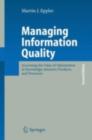 Managing Information Quality : Increasing the Value of Information in Knowledge-intensive Products and Processes - eBook