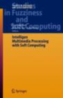 Intelligent Multimedia Processing with Soft Computing - eBook