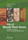 Atlas of Woody Plant Stems : Evolution, Structure, and Environmental Modifications - eBook