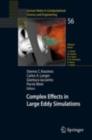 Complex Effects in Large Eddy Simulations - eBook
