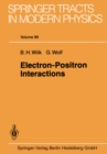 Electron-Positron Interactions - eBook