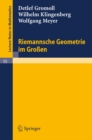 Riemannsche Geometrie im Groen - eBook