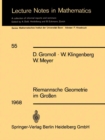 Riemannsche Geometrie im Groen - eBook