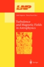 Turbulence and Magnetic Fields in Astrophysics - eBook