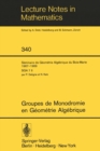 Groupes de Monodromie en Geometrie Algebrique : Seminaire de Geometrie Algebrique du Bois-Marie 1967-1969 (SGA 7 II) - eBook