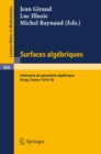 Surfaces Algebriques : Seminaire de Geometrie Algebrique d'Orsay 1976-78 - eBook