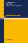 Algebraic Geometry, Sitges (Barcelona) 1983 : Proceedings of a Conference held in Sitges (Barcelona), Spain, October 5-12, 1983 - eBook