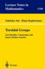 Toroidal Groups : Line Bundles, Cohomology and Quasi-abelian Varieties - Book