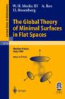 The Global Theory of Minimal Surfaces in Flat Spaces : Lectures given at the 2nd Session of the Centro Internazionale Matematico Estivo (C.I.M.E.) held in Martina Franca, Italy, June 7-14, 1999 - Book
