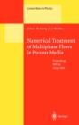 Numerical Treatment of Multiphase Flows in Porous Media : Proceedings of the International Workshop Held at Beijing, China, 2-6 August 1999 - eBook