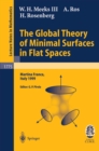 The Global Theory of Minimal Surfaces in Flat Spaces : Lectures given at the 2nd Session of the Centro Internazionale Matematico Estivo (C.I.M.E.) held in Martina Franca, Italy, June 7-14, 1999 - eBook