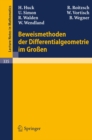 Beweismethoden der Differentialgeometrie im Groen - eBook
