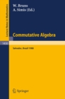 Commutative Algebra : Proceedings of a Workshop held in Salvador, Brazil, Aug. 8-17, 1988 - eBook