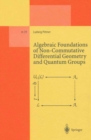 Algebraic Foundations of Non-Commutative Differential Geometry and Quantum Groups - eBook