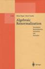 Algebraic Renormalization : Perturbative Renormalization, Symmetries and Anomalies - eBook