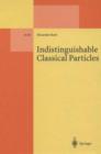 Indistinguishable Classical Particles - eBook