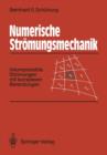 Numerische Stromungsmechanik : Inkompressible Stromungen Mit Komplexen Berandungen - Book