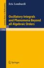 Oscillatory Integrals and Phenomena beyond All Algebraic Orders : With Applications to Homoclinic Orbits in Reversible Systems - Book