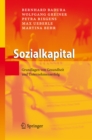 Sozialkapital : Grundlagen von Gesundheit und Unternehmenserfolg - eBook