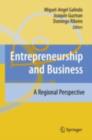 Entrepreneurship and Business : A Regional Perspective - eBook