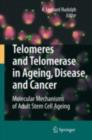 Telomeres and Telomerase in Aging, Disease, and Cancer : Molecular Mechanisms of Adult Stem Cell Ageing - eBook