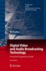 Digital Video and Audio Broadcasting Technology : A Practical Engineering Guide - eBook