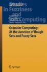 Granular Computing: At the Junction of Rough Sets and Fuzzy Sets - eBook
